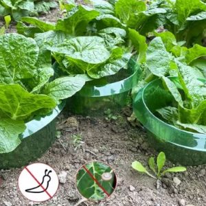 Snail and Slug Protection Collar 10Pcs - High Quality Reusable Plant Protection - Water Saving Collar #G10