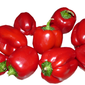 Perennial Capsicum SEEDS - Hardy Variety - Capsicum annuum - Heirloom & Untreated #10