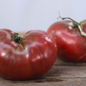 Cherokee Purple Tomato SEEDS - Untreated & Heirloom - Large Fruit - Lycopersicon esculentum #20